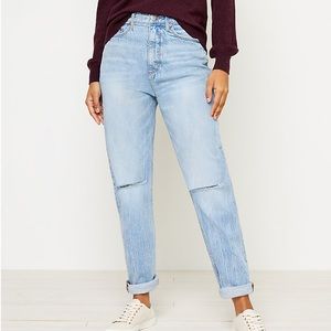 Loft High Waist Distressed Boyfriend Jeans - Size 14/32 NWT